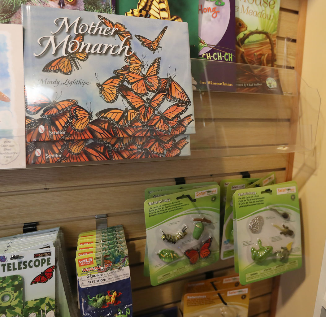 Nature Center Monarch Festival